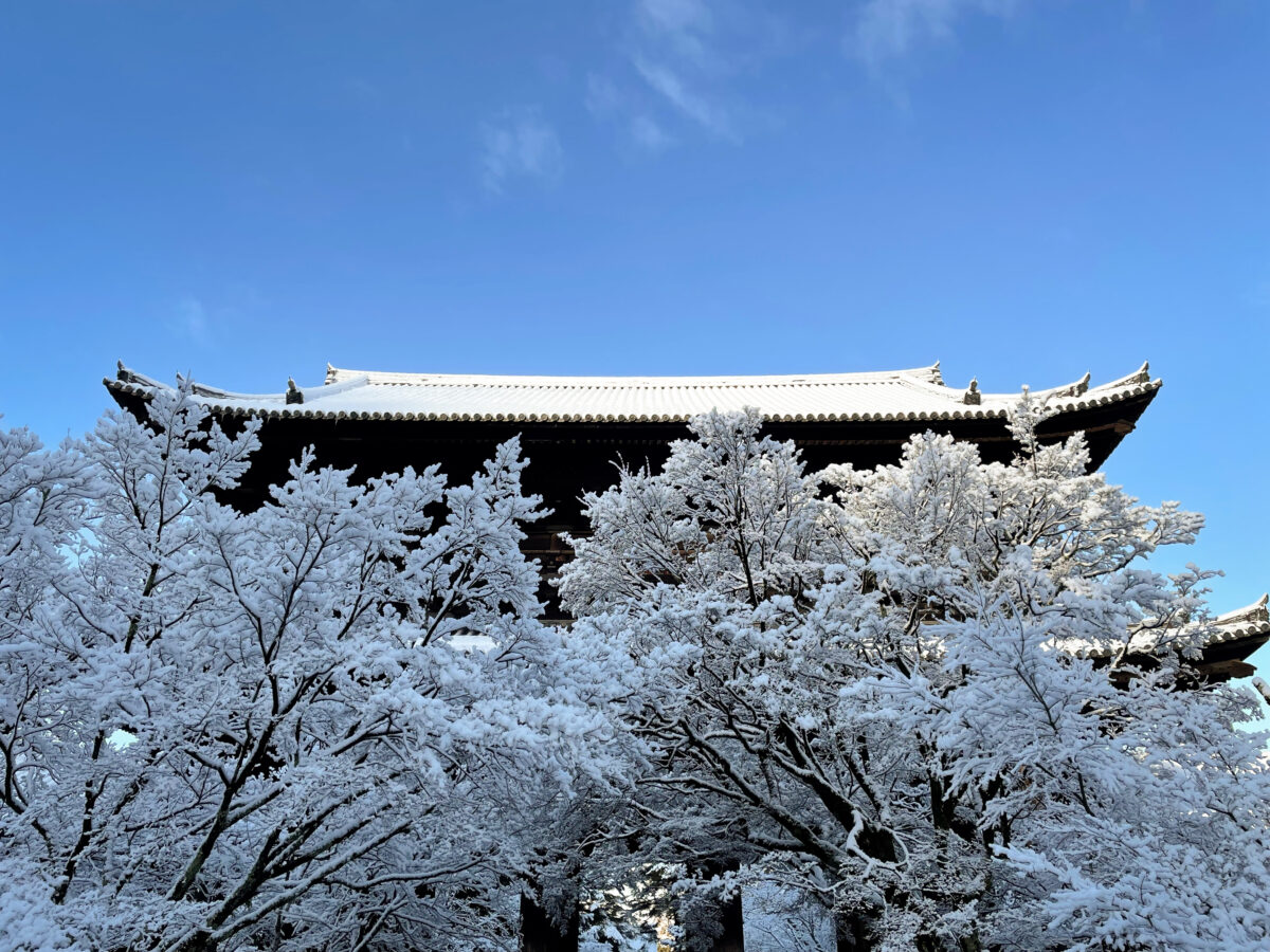 京都 南禅寺 雪 2023-5