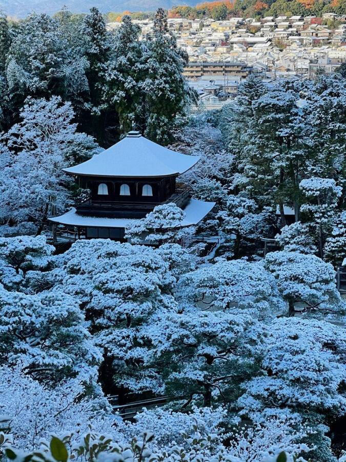 雪化粧の銀閣寺4