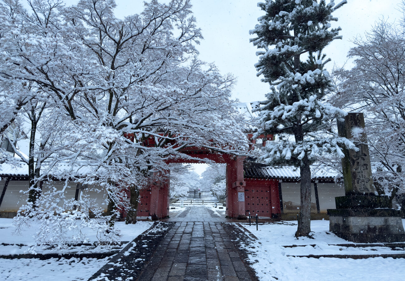 真如堂雪260208-1