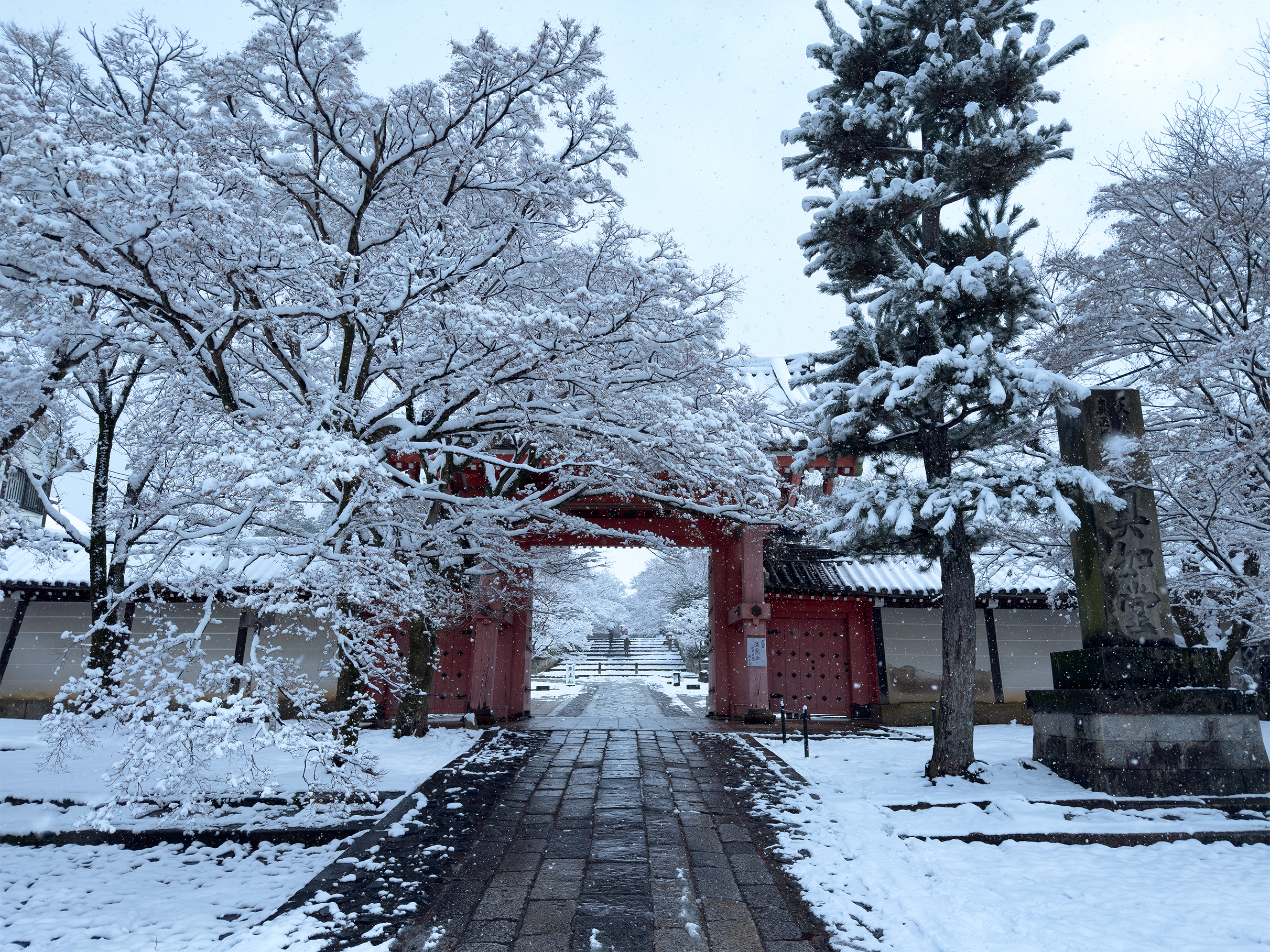 真如堂雪260208-1