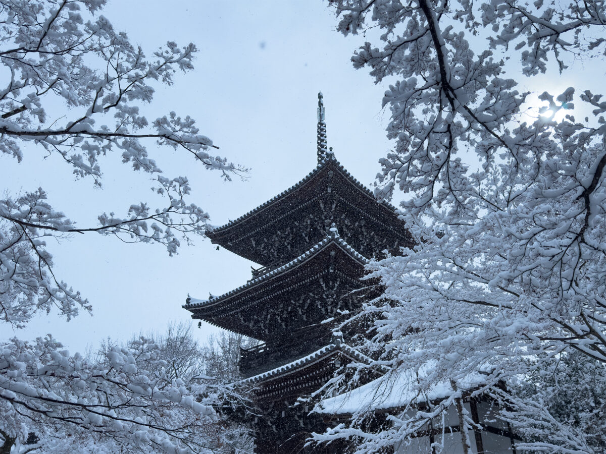 真如堂雪260208-2