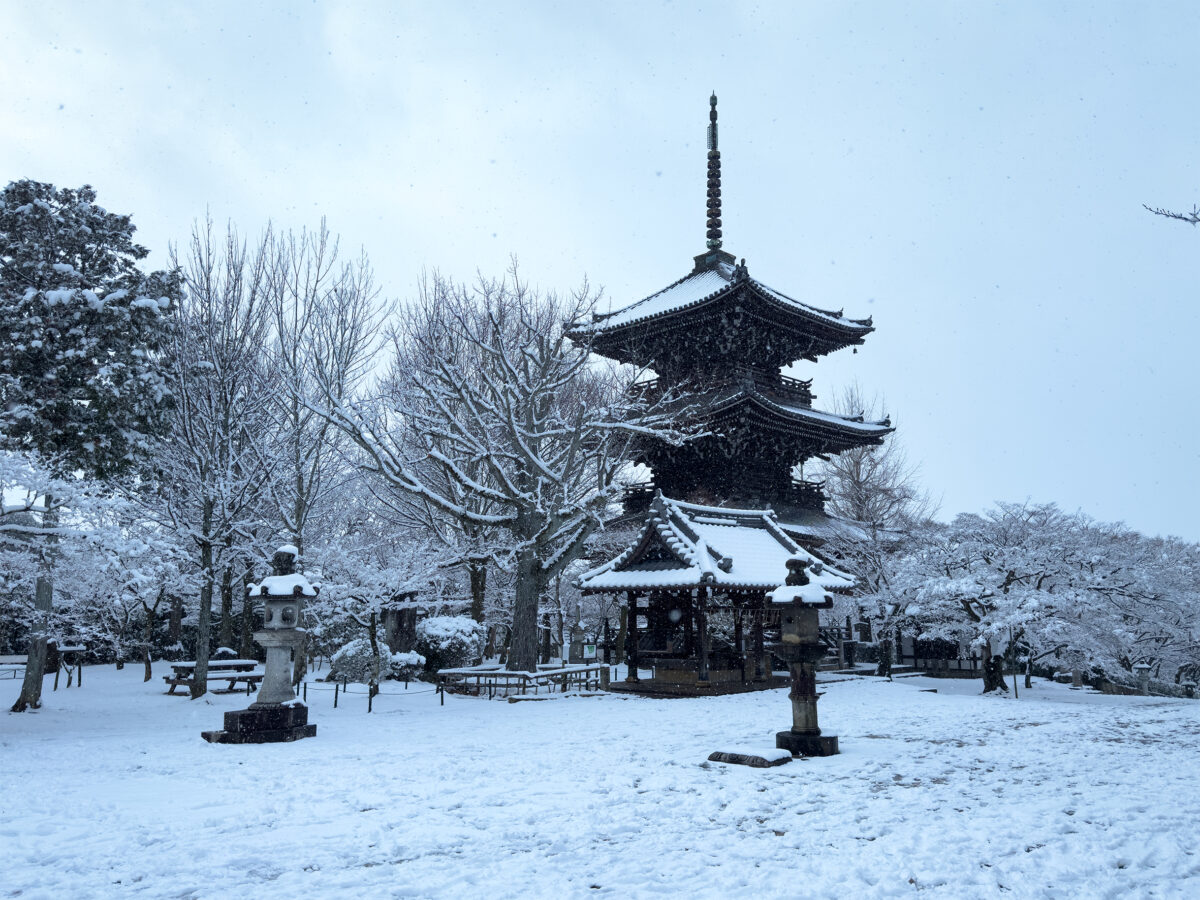 真如堂雪260208-3