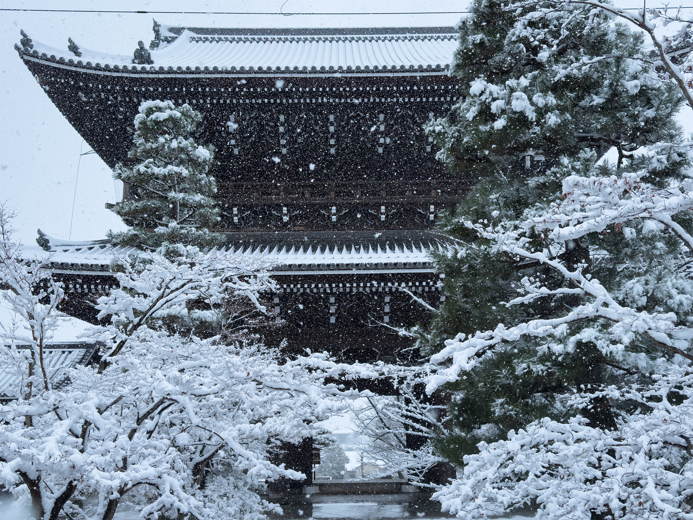 金戒光明寺雪260208-1