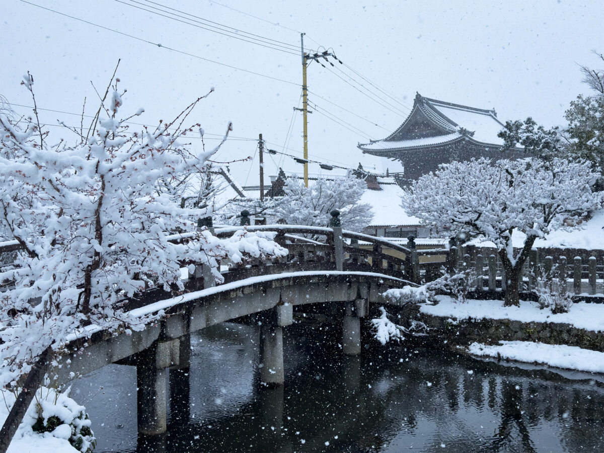 金戒光明寺雪260208-5