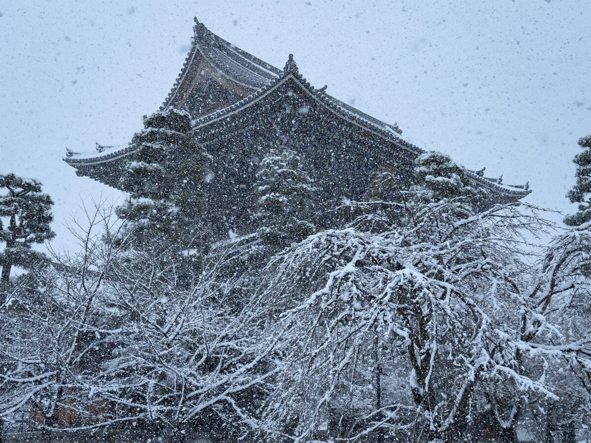 金戒光明寺雪260208-6