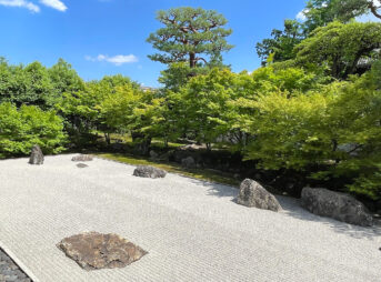 相国寺新緑青紅葉