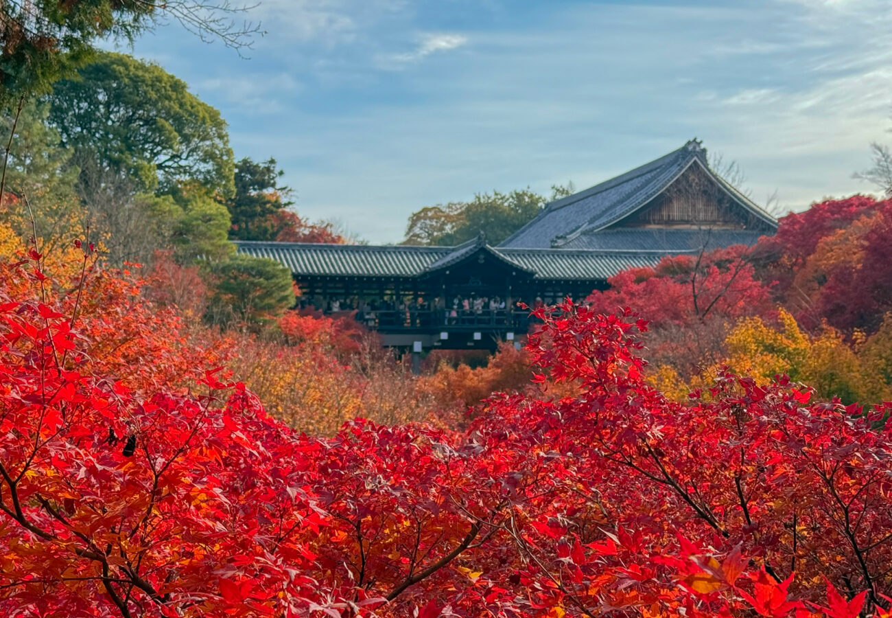 東福寺紅葉-4