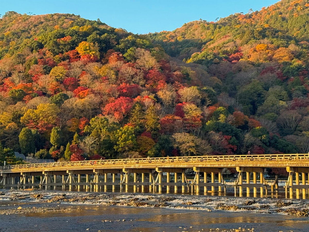 朝日に染まる渡月橋紅葉-10