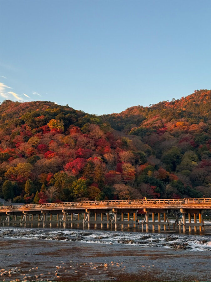 朝日に染まる渡月橋紅葉-2