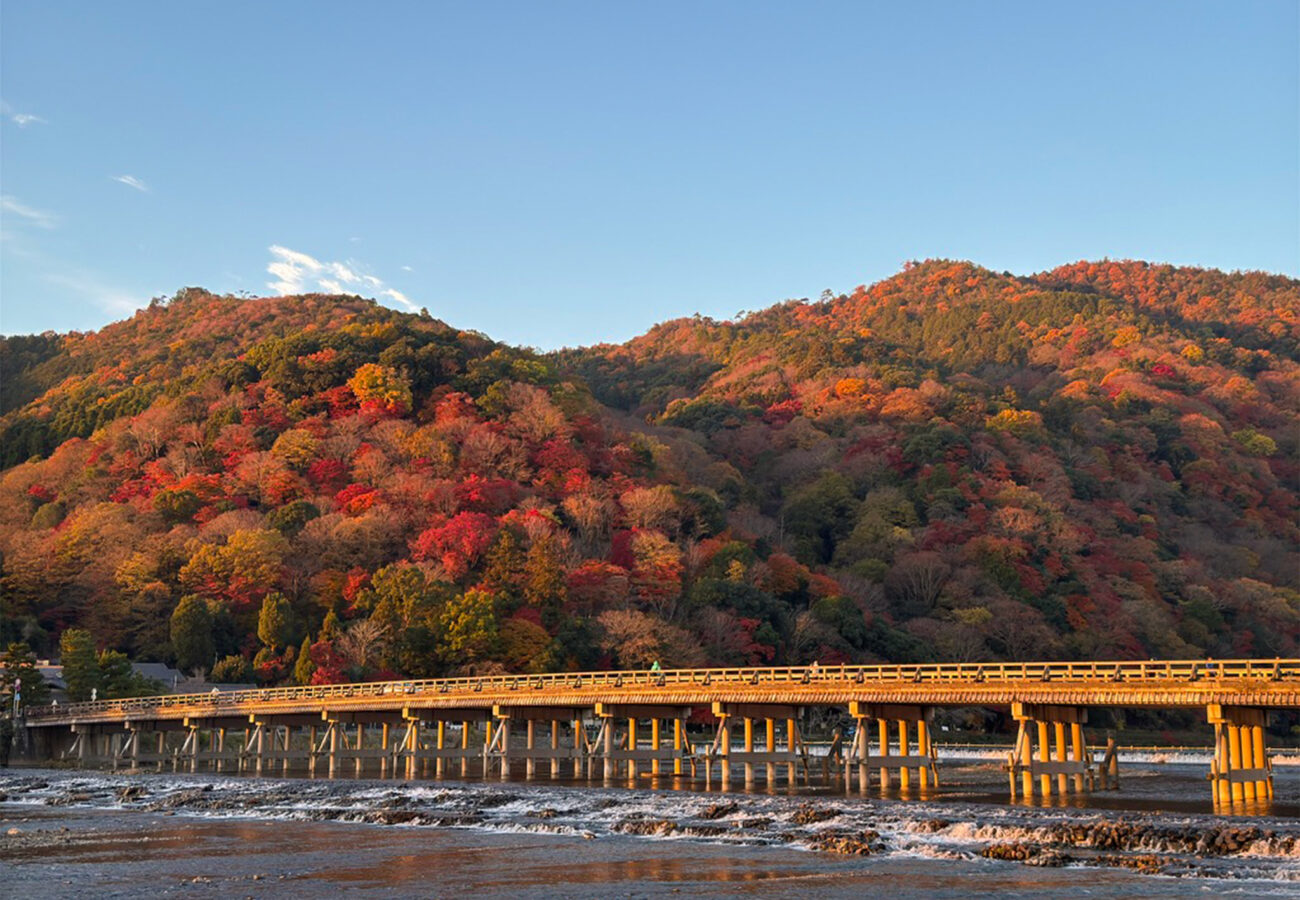 朝日に染まる渡月橋紅葉-5
