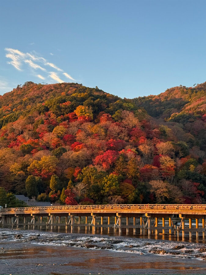 朝日に染まる渡月橋紅葉-7