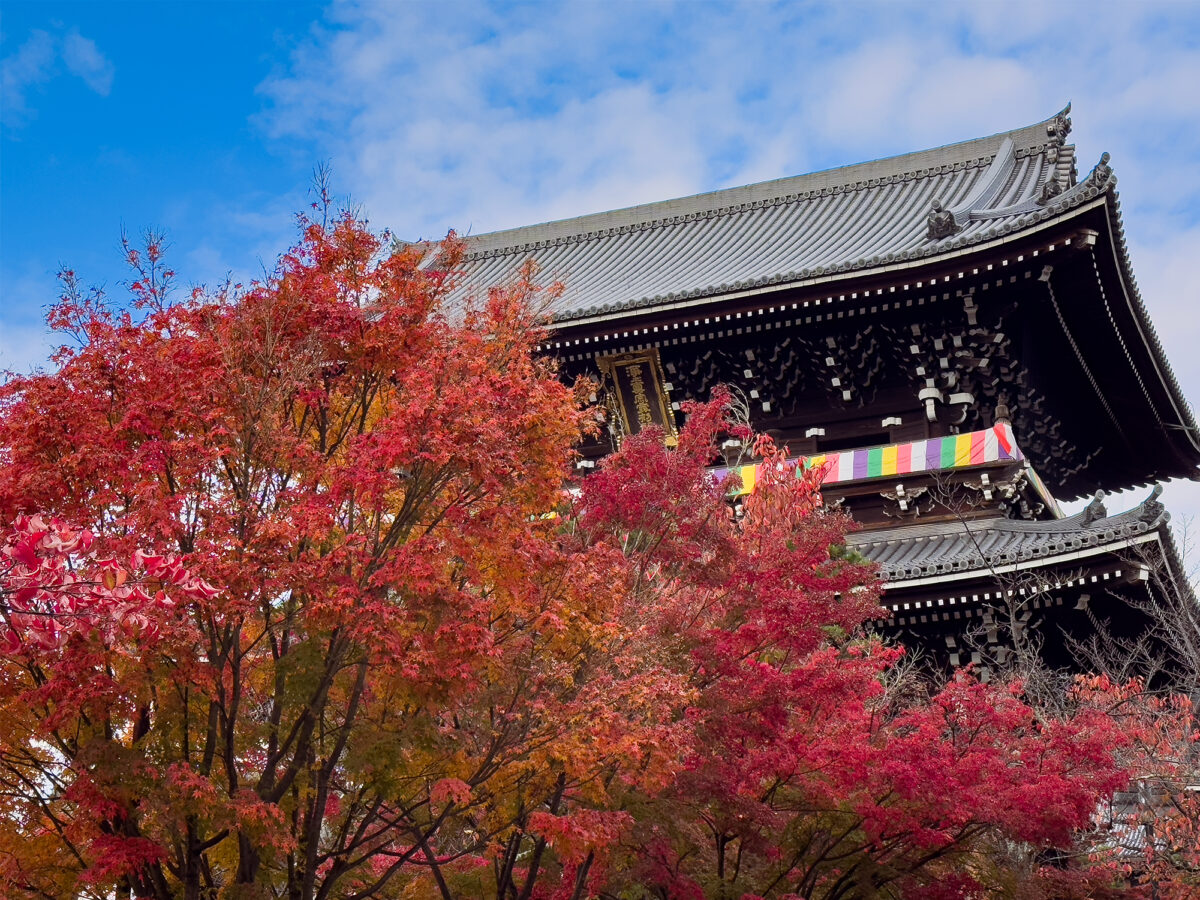 金戒光明寺紅葉-1