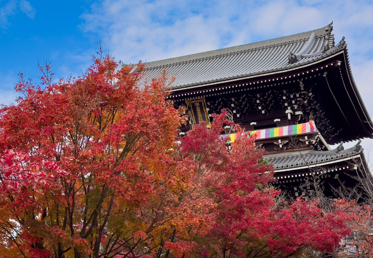 金戒光明寺紅葉-1