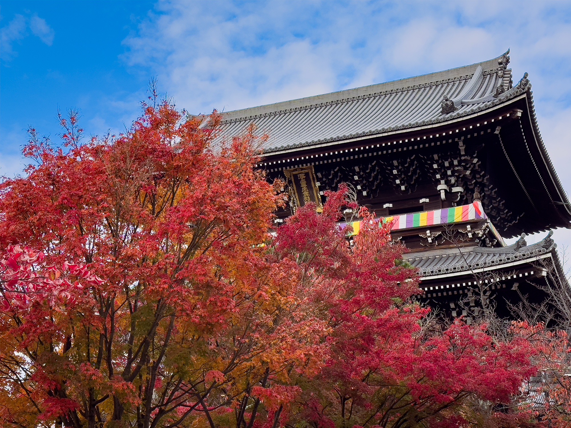 金戒光明寺紅葉-1