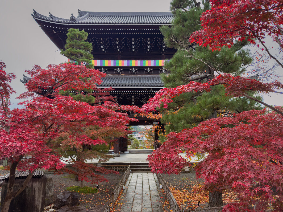 金戒光明寺紅葉-2