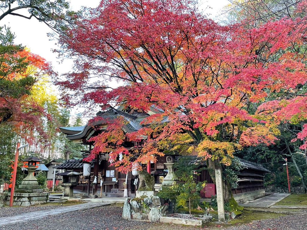 粟田神社の紅葉2021