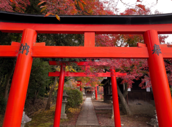 竹中稲荷 紅葉