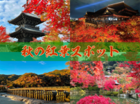 秋の京都紅葉スポット名所