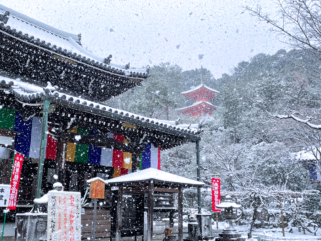 京都 今熊野観音寺 雪