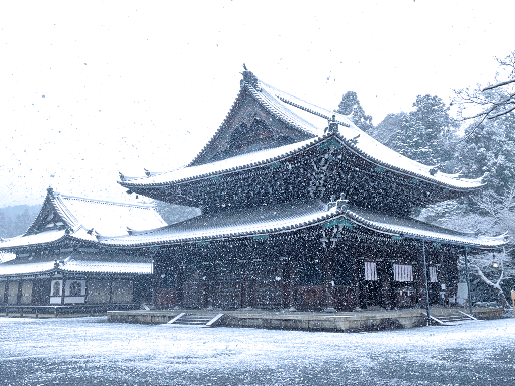 京都 泉涌寺 雪