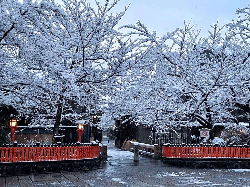祇園白川 雪