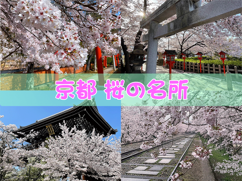 京都桜の名所