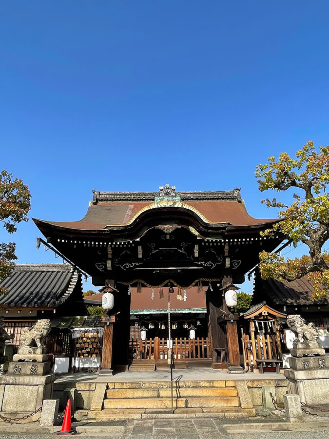 京都 六孫王神社 桜 8