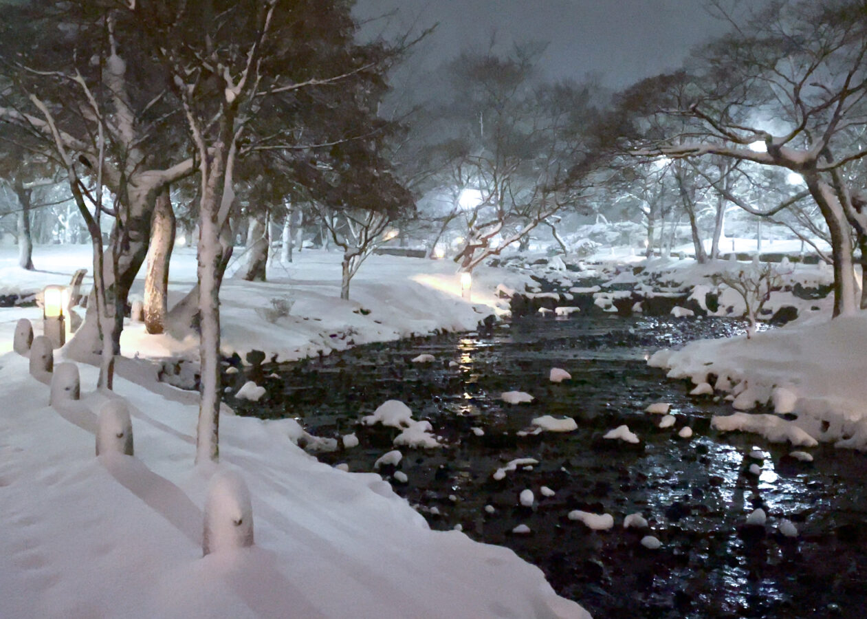 円山公園雪2023-2