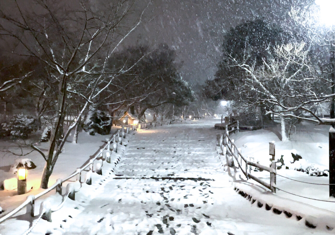 円山公園雪2023-2