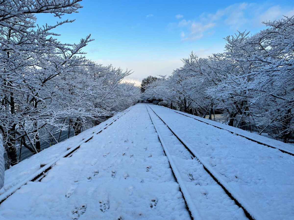 京都の雪化粧 蹴上インクライン4
