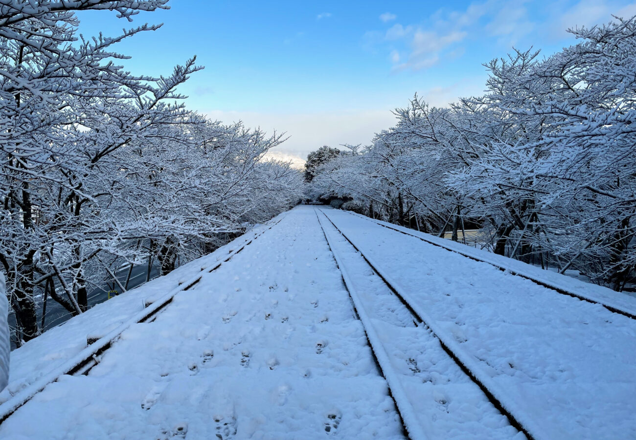 京都の雪化粧 蹴上インクライン4
