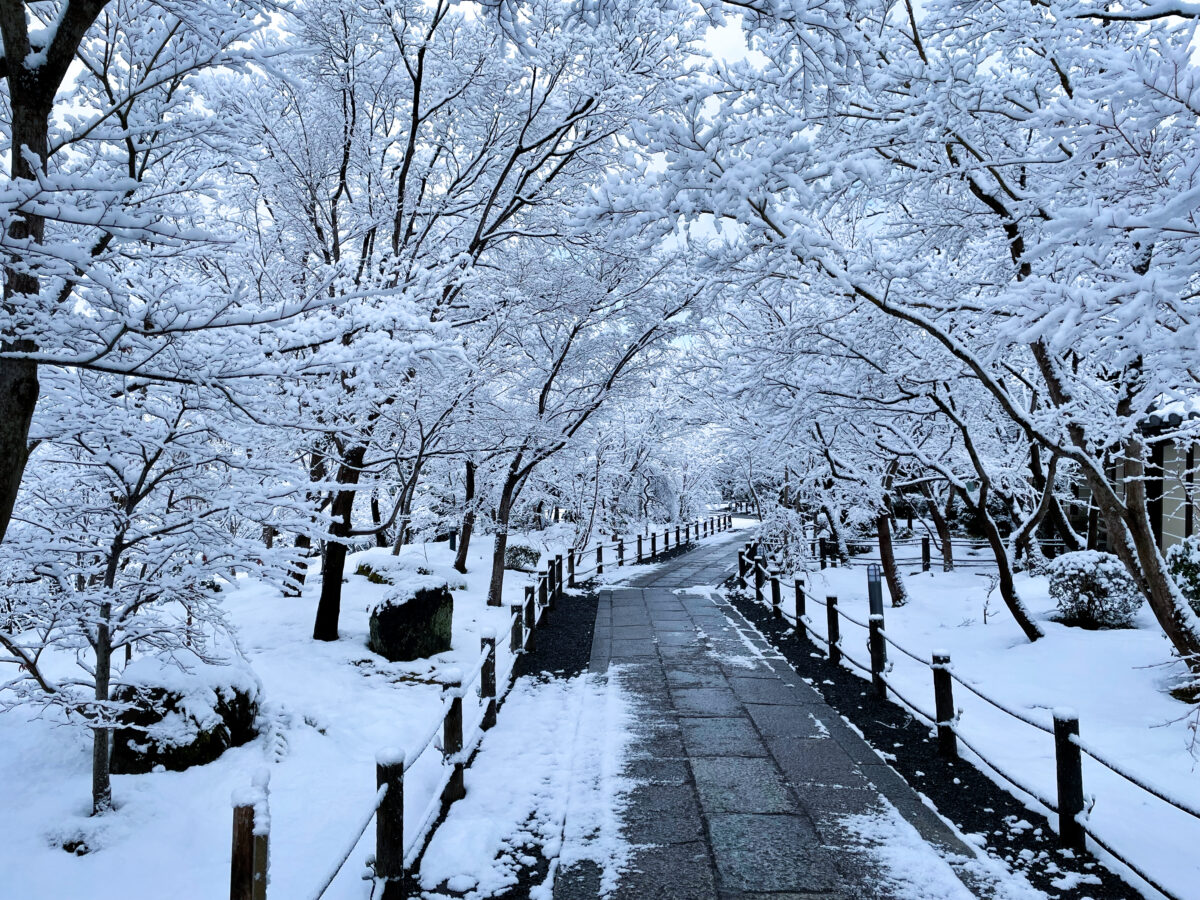 京都 永観堂 雪11