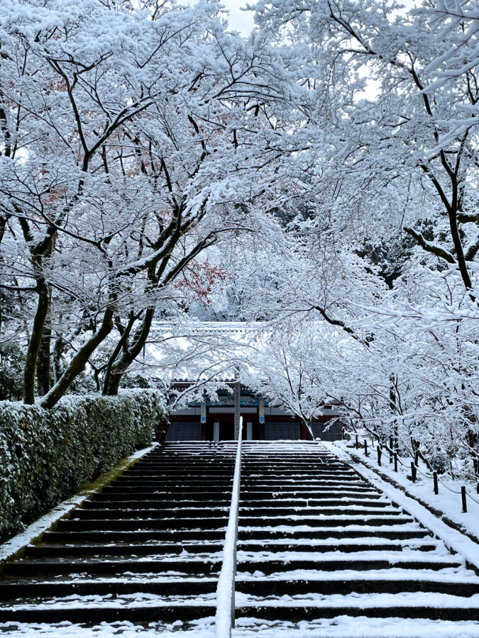 京都 永観堂 雪12