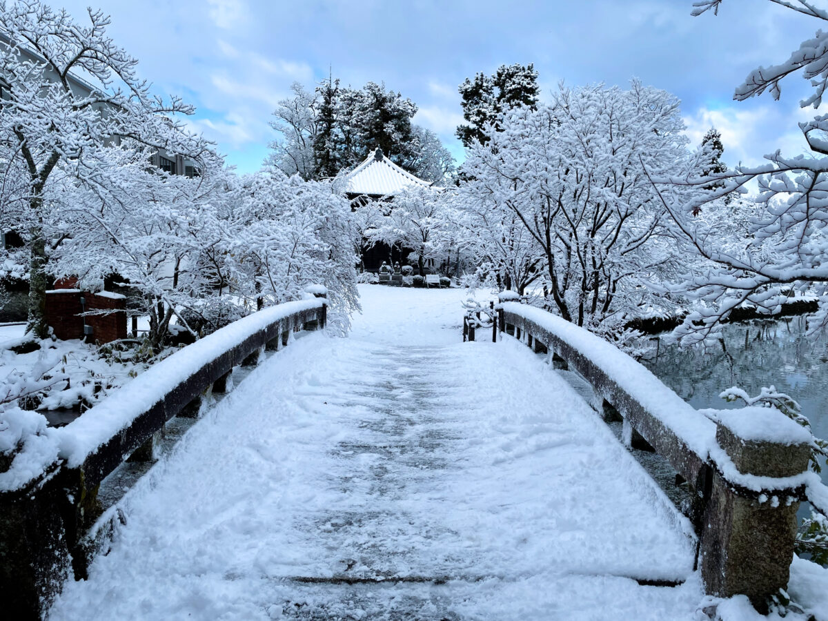 京都 永観堂 雪14