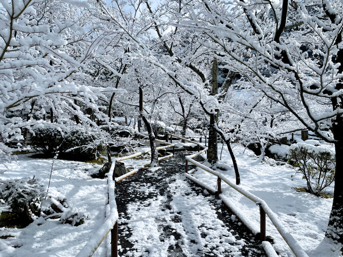 京都 永観堂 雪21