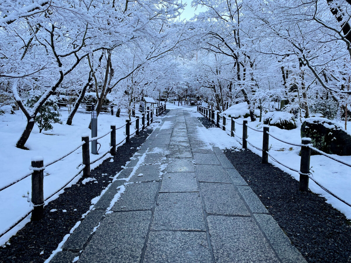 京都 永観堂 雪3