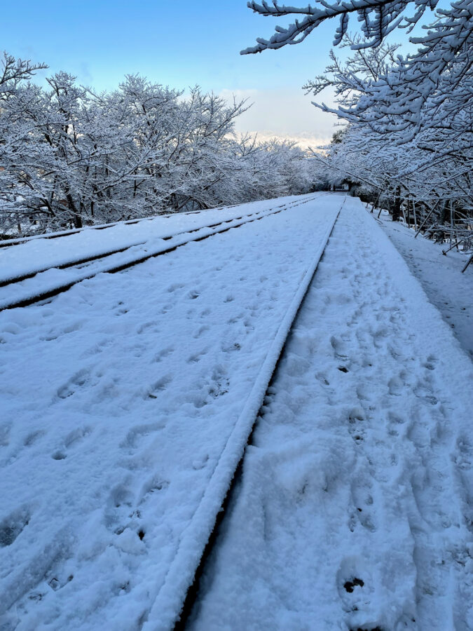 京都の雪化粧 蹴上インクライン2