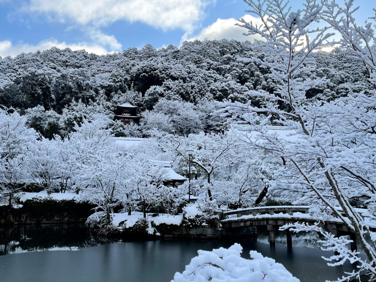 京都 永観堂 雪4