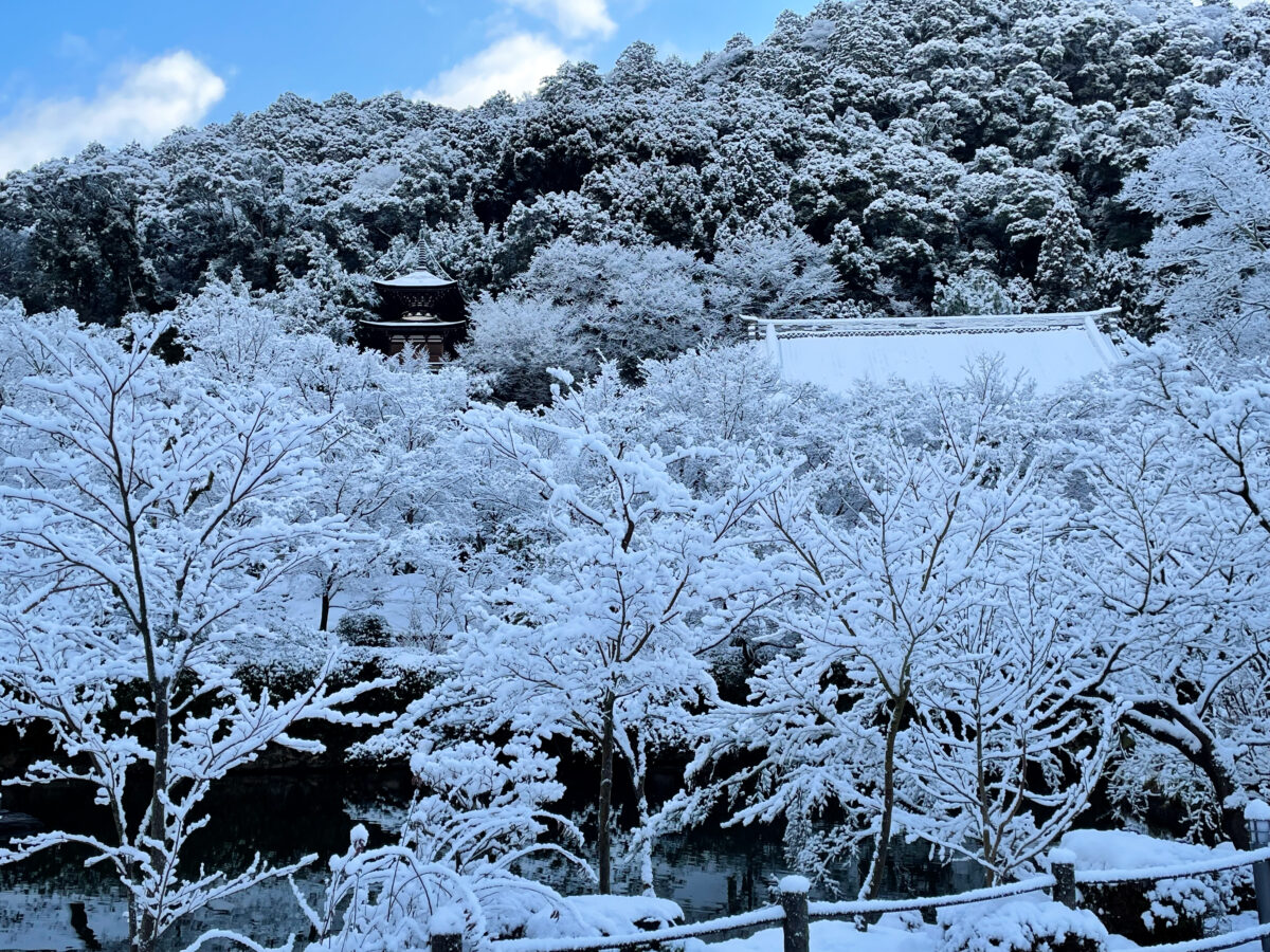 京都 永観堂 雪6