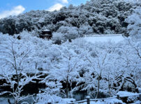 京都 永観堂 雪6