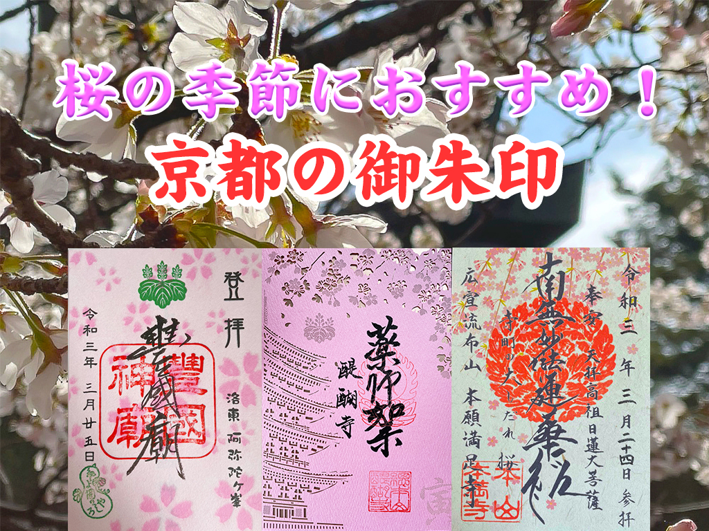 京都桜の季節限定御朱印