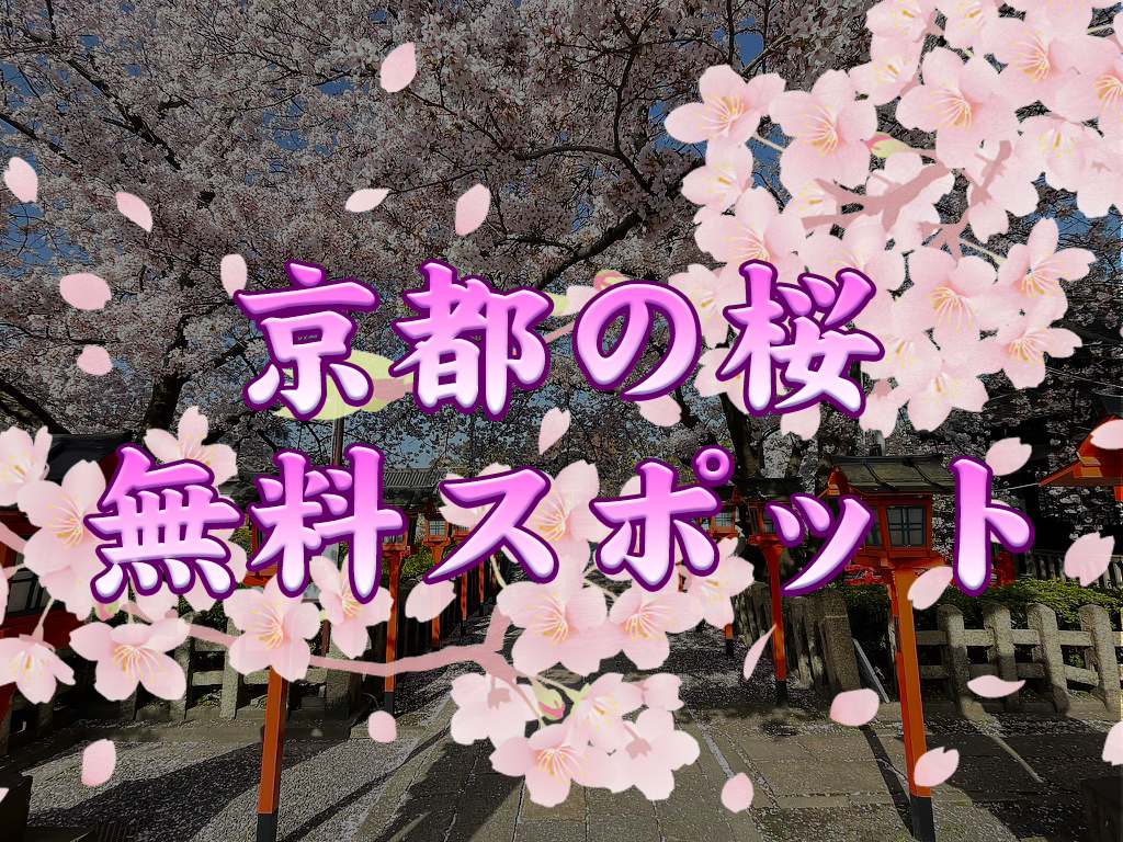 京都桜の無料スポット