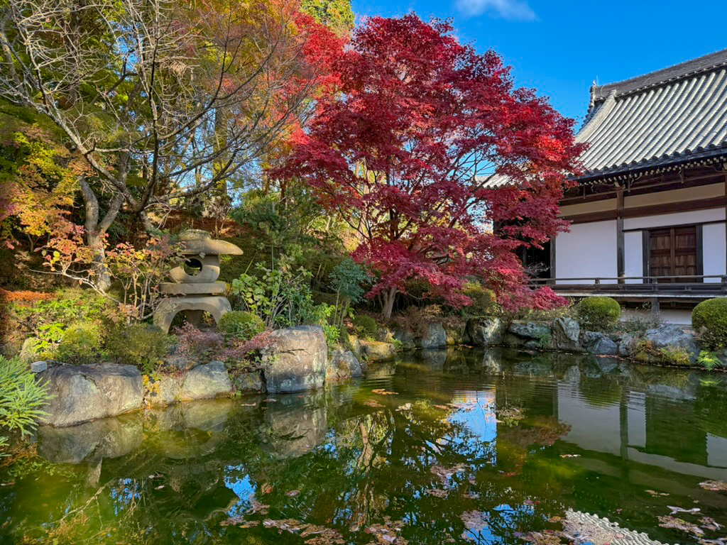 善峯寺紅葉-17