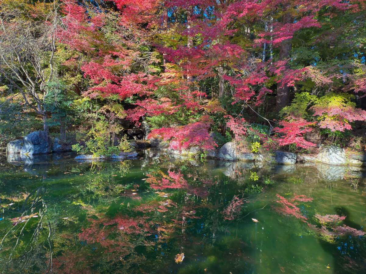 善峯寺紅葉-18