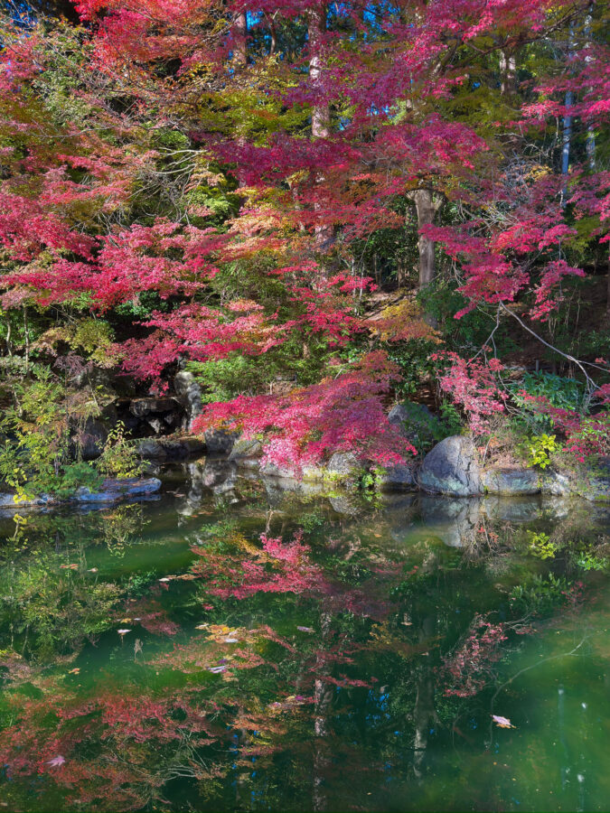 善峯寺紅葉-19