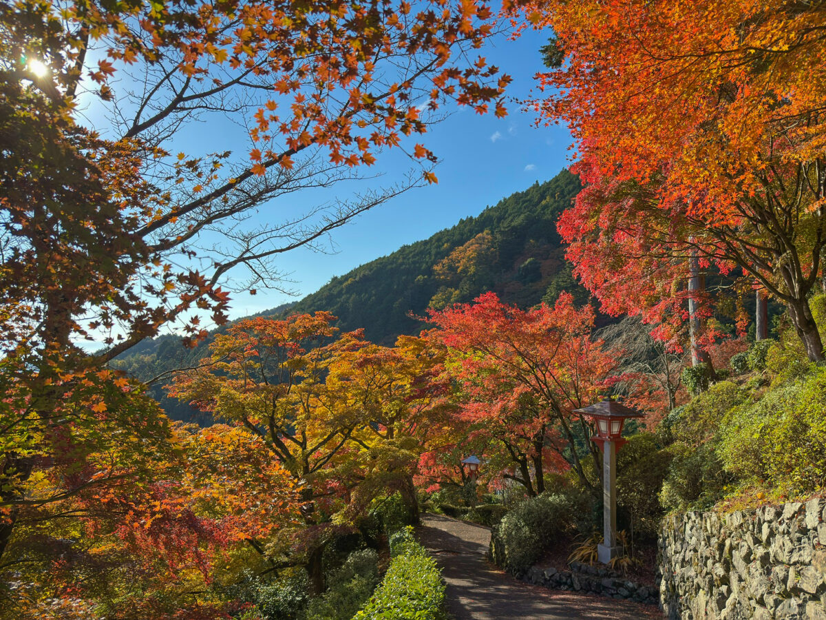 善峯寺紅葉-21