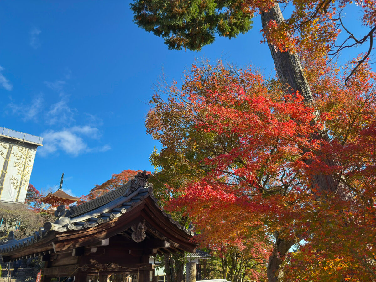 善峯寺紅葉-23