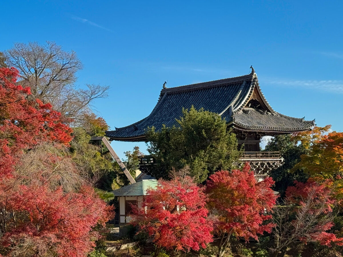 善峯寺紅葉-25