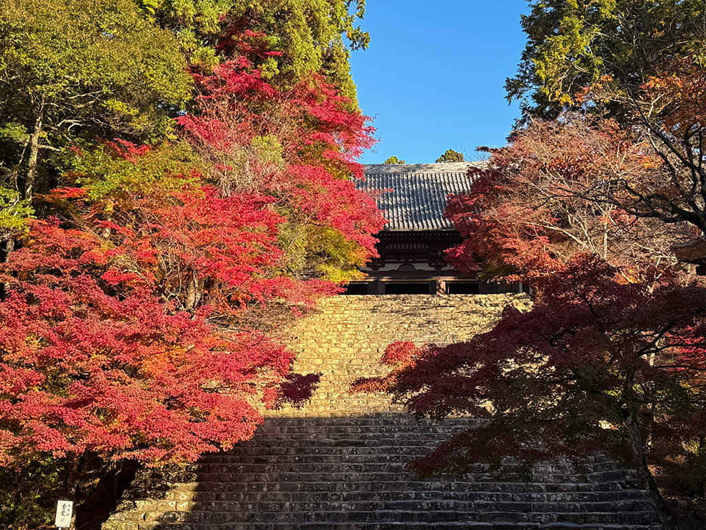 神護寺紅葉-12