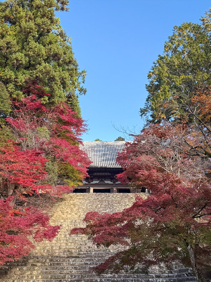 神護寺紅葉-19